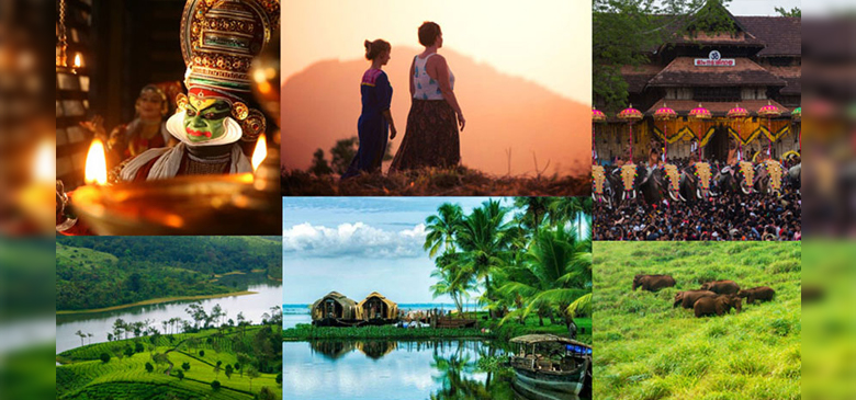 Bus transport services