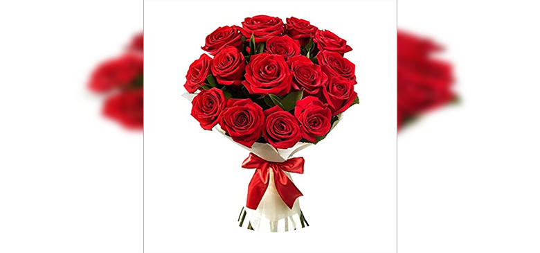 udaipur to ahmedabad bus