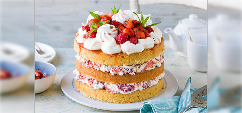 udaipur to ahmedabad bus