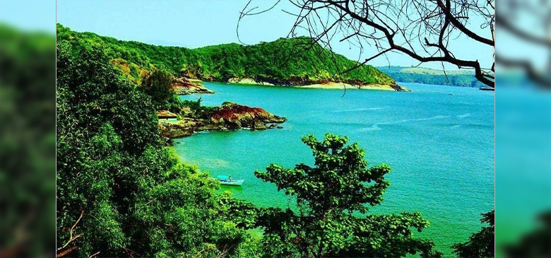 delhi to udaipur bus