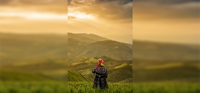 online ticket booking travels