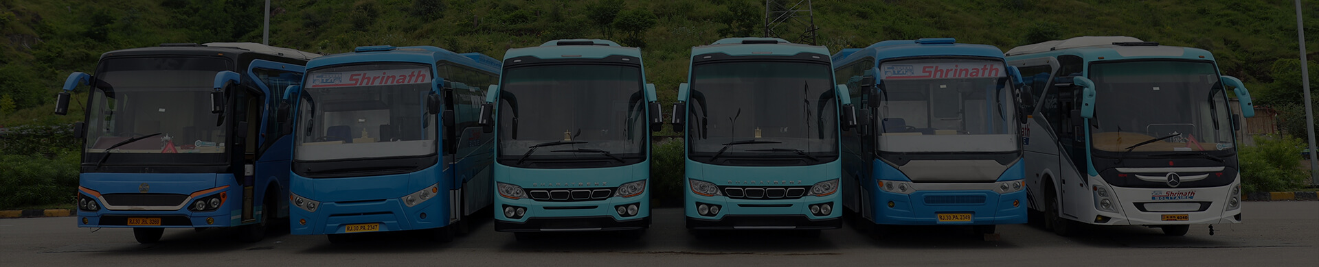 udaipur to delhi bus